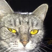 Cindy Meredith's photo
