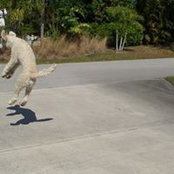 Stan Ingram's photo