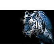 Julio Arboleda's photo