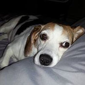 Holly smith's photo