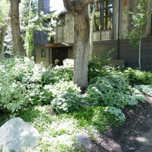 Landscaping Ideas