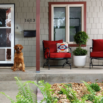 Pet Friendly Storm Doors