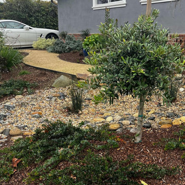Sculpted Sustainability