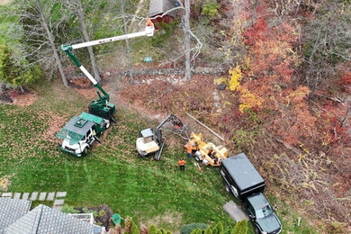 Large Tree Removal Project in Watertown, CT
