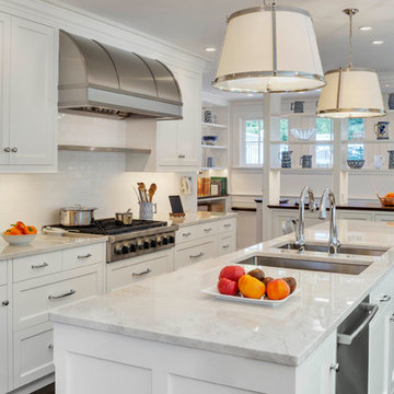 Chestnut Hill Renovation & Addition