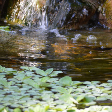 Omaha water features