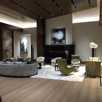 Aspen Remodel Contemporary