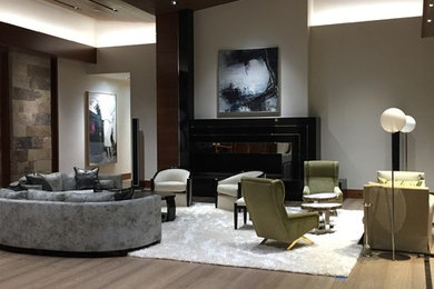 This is an example of an expansive modern open concept living room in Denver.