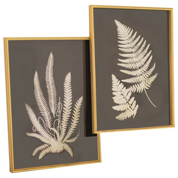 Black And White Fern Prints Under Glass, Set of 2
