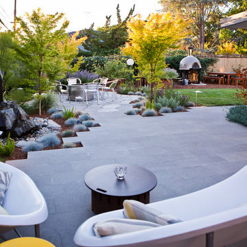 Palo Alto Stunner - 2016 CLCA 2nd Place Award Winner