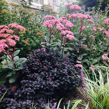 New London Museum foundation planting