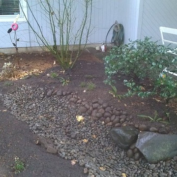 Vancouver Rain Garden Solution