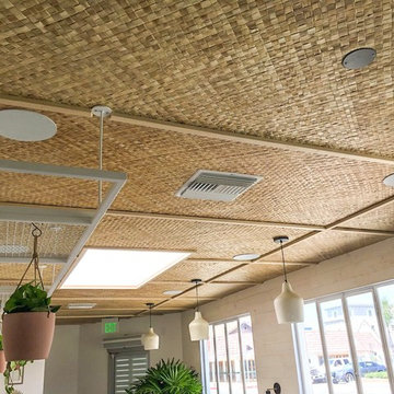In-Ceiling Sound & CCTV