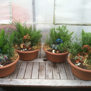 Fairy Gardens, Terrariums & Succulents