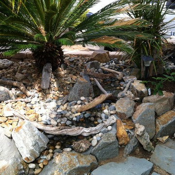 Front Yard Coy Pond