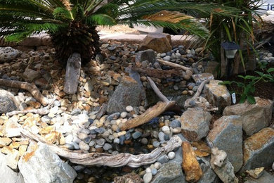 This is an example of a mid-sized tropical landscaping in San Diego.