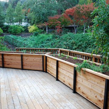 JD Garden, Hillsborough