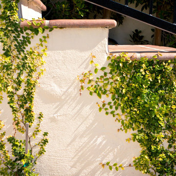 Mt Olympus Stylish Urban Oasis