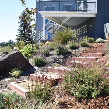 Deer Resistant and Slope Stablizing Plantings for Residential Winery