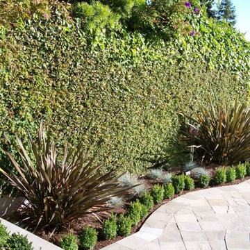 Garden Design