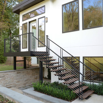 Tree Line Modern