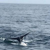 Catherine Ames's photo