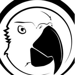 Opus Macaw