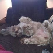Kelli Kennel's photo