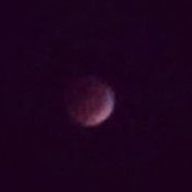 Evelyn Ellstein's photo