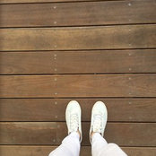 Elizabeth Webb's photo