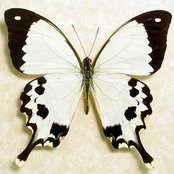 Foto von Aynsley MacLeod