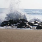 Geralyn Dowling's photo