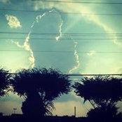 Laura Jackson's photo