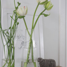 Flowers in Vases