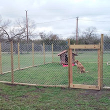 fenced dog kennel