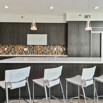 Contemporary Condo Kitchen