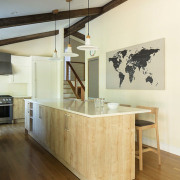 Warm Wood Veneer Island | Kitchen | Mid-Century Bayberry Renovation
