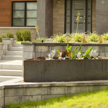 Contemporary Landscape Design