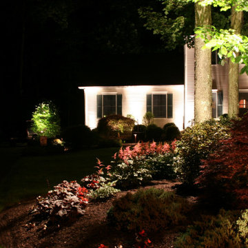 Beauty in the Landscape Lighting