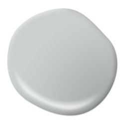 Sparkling Silver HDC-MD-06G - Paint