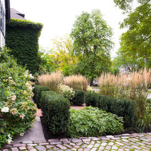 garden ideas and inspiration