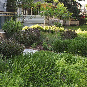 Landscape Design