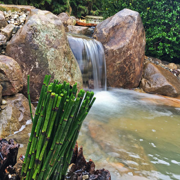 Winter Pond Build