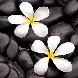 Platin Art's Deco Glass Wall Decor- Captivating Jasmine - Wallpaper