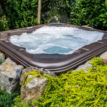 LF Backyard