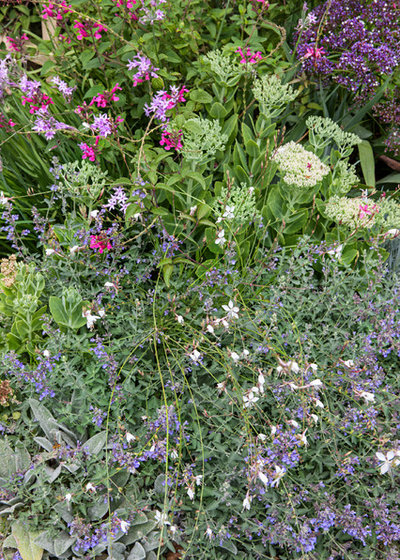 Ein viktorianischer Cottage-Garten in Melbourne wird wiederbelebt