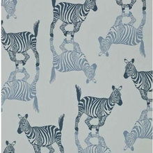 Patterns