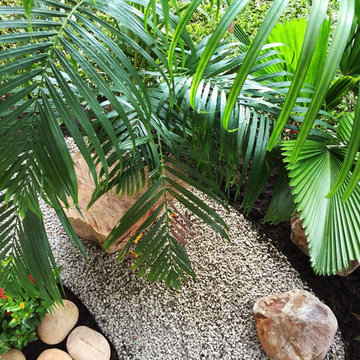 Palms and shade