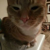 Bonnie Milliman's photo
