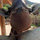webuser_75734